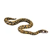 Cosplay Snake Accessory